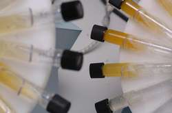 90-річний американський велогонщик позбавлений світового рекорду через допінг