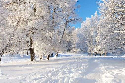 На Різдво вдарять морози та замете снігом: прогноз погоди на 7 січня