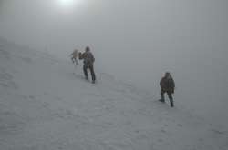 В Карпатах досі шукають зниклого туриста