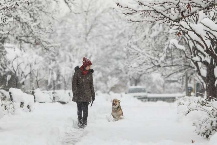 На півдні України у четвер потеплішає: очікуються хуртовини з мокрим снігом