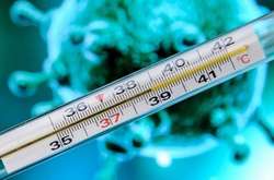 З початку нового року у Києві від грипу померли вже двоє людей