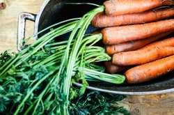 Медики назвали 7 ценных для здоровья свойств моркови