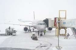 Кінець поштового колапсу у «Борисполі»: аеропорт відновив прийом вантажів