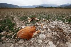 Вперше за 2000 років висохла Лагуна де Акулео в Чилі