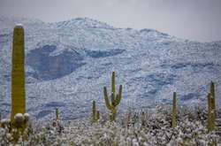 Пустыни в Аризоне занесло снегом: фото