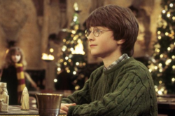 Фото: instagram.com/harrypotterfilm/