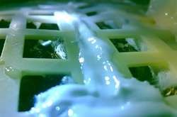 Выросший на Луне хлопок не пережил перепада температуры