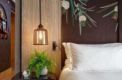 Первый в мире гостиничный номер для веганов: фото