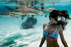 Австралийка плавает с акулами ради эффектных селфи