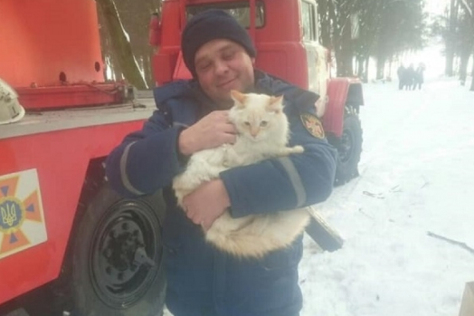 У Вінниці на дереві мерз кіт, поки його не зняли рятувальники