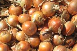  Рік тому цибуля в Україні коштувала 3,5-4,5 грн/кг 
  