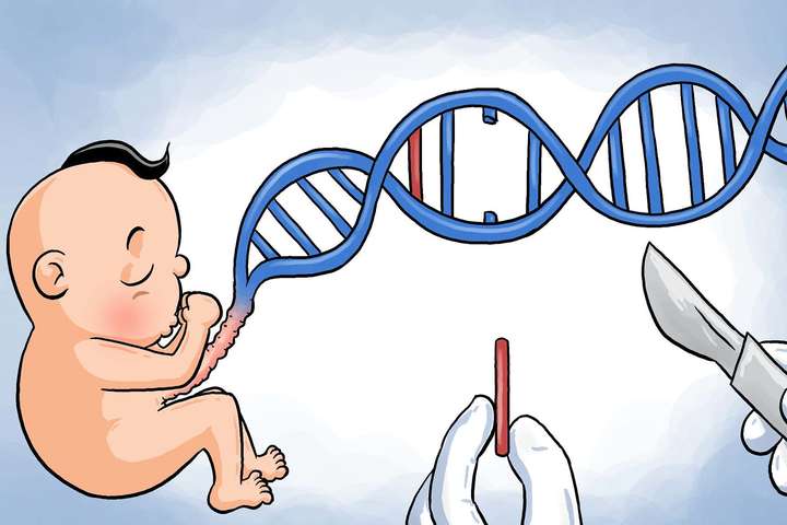 Китайские власти подтвердили существование CRISPR-детей