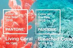 Австралийские дизайнеры назвали цвет 2019 года от Pantone «глухим» и предложили свой