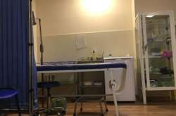 Число жертв «свиного гриппа» в Грузии увеличилось до 21