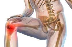 Ученые отыскали в костях сосуды, которые помогут вылечить артрит