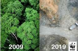Экоактивисты показали, как изменилась планета за десять лет