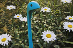 Половник по кличке Самсон стал знаменитостью благодаря своей хозяйке