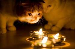 Стало відомо, де застосують планові відключення електроенергії на Вінниччині