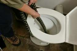 Жительницу Австралии укусила змея, прятавшаяся от жары в унитазе