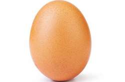 Яйцо-рекордсмен по «лайкам» в Instagram дало интервью