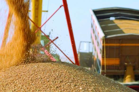 Україна відправила на експорт 27 млн тонн зернових 