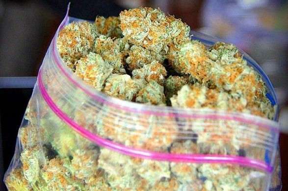 СБУ не дала вивезти до РФ півтора кілограма марихуани