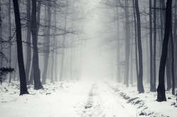 В Україні у найближчі дні буде тепло, але похмуро