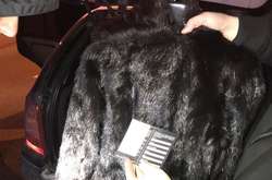 В Дніпрі грабіжники вкрали з магазину півсотні шуб