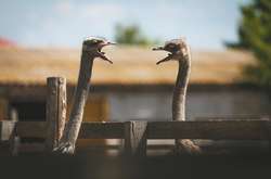 100 фото Украины-2018: популярное издание опубликовало лучшие снимки за год