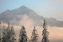 Чотири людини у вкрай важкому стані доправили до лікарні