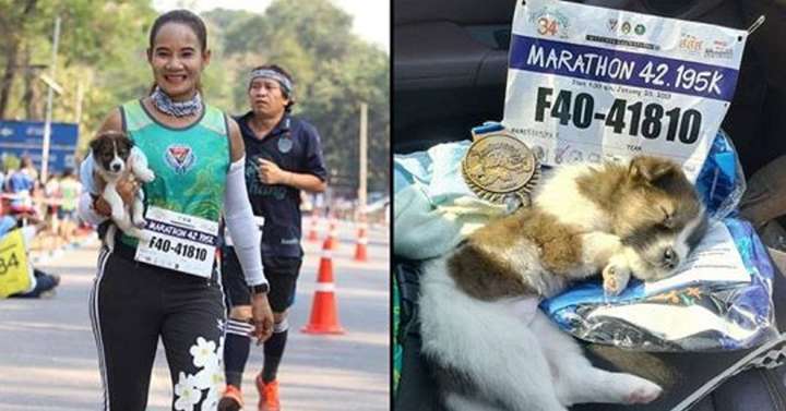 У Таїланді учасниця марафону підібрала цуценя й фінішувала з ним на руках