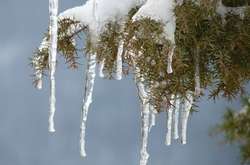 В Україну прийде весняне тепло і дощі: прогноз погоди на 31 січня