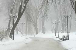 Лютий прийде в Україну з дощами і туманами 