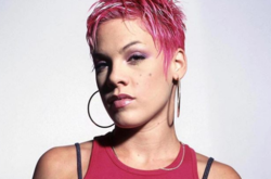 Мужа певицы Пинк осудили за то, что он научил дочь стрелять из винтовки (видео)