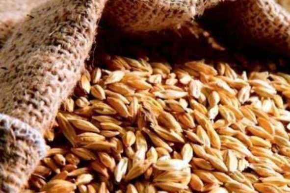  «Аграрний фонд» заявляє про ймовірне викрадення зерна на 200 млн грн