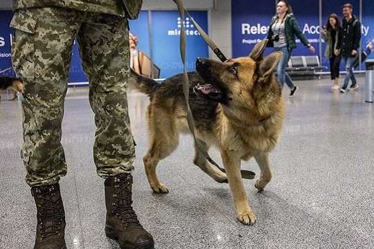 Ще один аеропорт України почали патрулювати поліцейські з собаками 