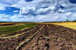 Порошенко підписав закон про продовження мораторію на продаж сільгоспземель