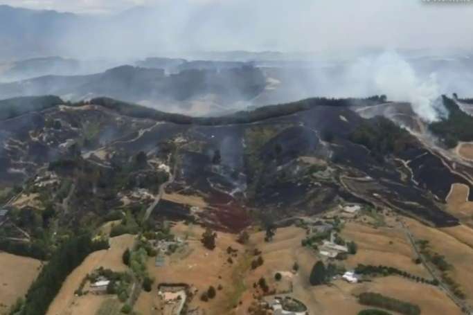 Нову Зеландію охопила масштабна лісова пожежа