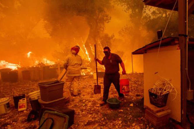 У Новій Зеландії вирує потужна лісова пожежа