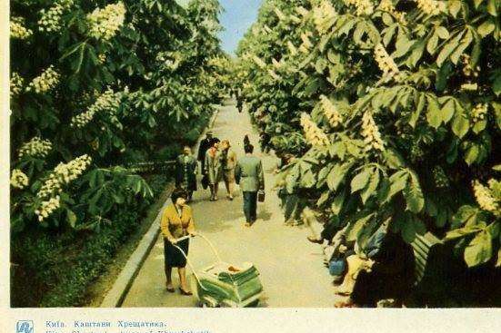 Не місто, а справжній сад. Як виглядав Київ у 1960-х роках 