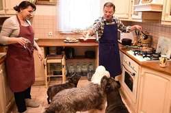 Дома у Олега Ляшка живуть 11 собак