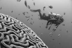   
 
 
 unsplash / @tchompalov 
 
 
  