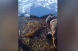  Місцеві чоловіки вичерпували спирт у бідони 
  