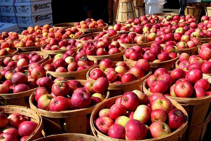Україна знову вийшла на рекордні показники з експорту яблука