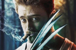 Дэниэл Рэдклифф 