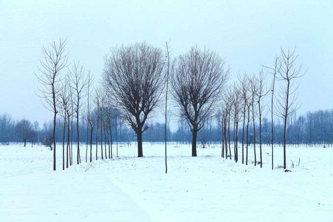 В Україні очікується мороз і мокрий сніг: прогноз погоди на 13 лютого