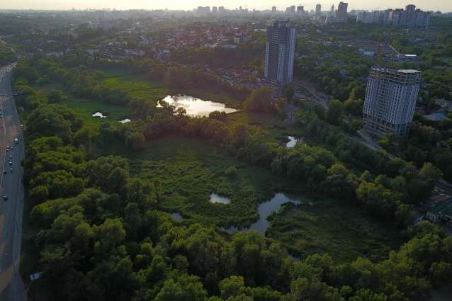 Суд заборонив забудову Совських ставків у Києві