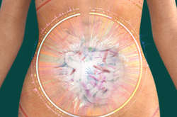 В человеческом кишечнике найдены две тысячи новых видов бактерий