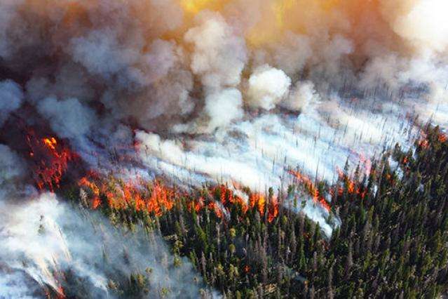 Лісові пожежі охопили Чилі
