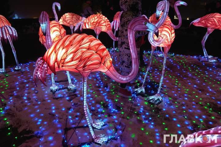 У Києві відкрився вражаючий Фестиваль гігантських китайських ліхтарів (фоторепортаж)